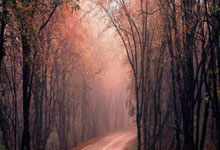 乐鱼体育官网-今日亚洲杯魔幻夜！皇马跨界掀翻阿根廷，亚洲势力重洗牌！