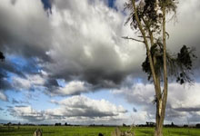 乐鱼体育-拜仁亚洲行爆冷溃败！AC米兰奇袭慕尼黑巨舰，三线崩盘敲响警钟