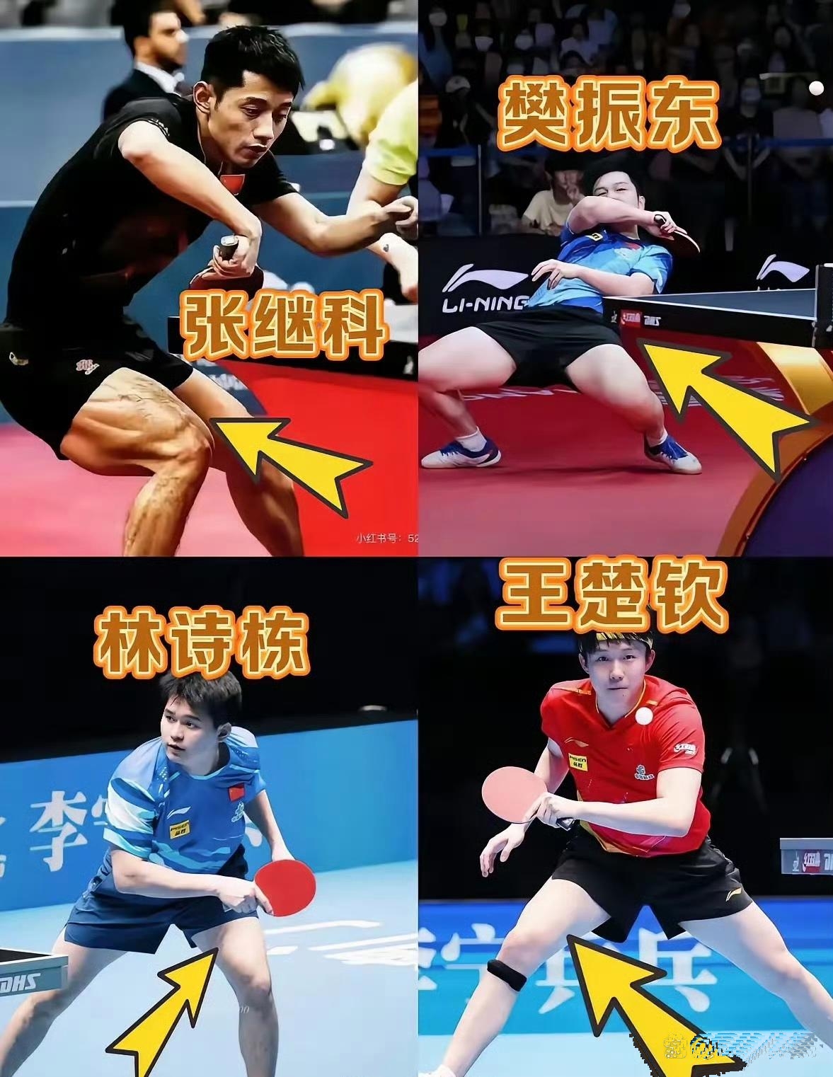 德国乒乓球队爆冷波兰乒乓球队，张继科绝境逆转