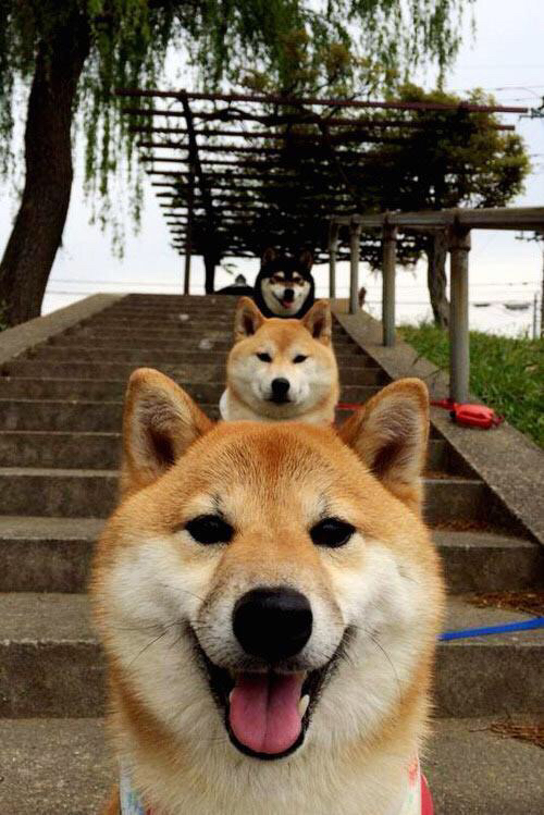 leyu乐鱼体育-当南大王遭遇神话防线，库尔图瓦的教科书，如何让拜仁的利刃黯然无光？